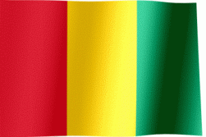 Flag_of_Guinea (1)